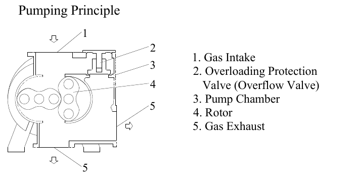 Roots pumping principle: inlet, bypass protection valve, chamber, rotors and exhaust