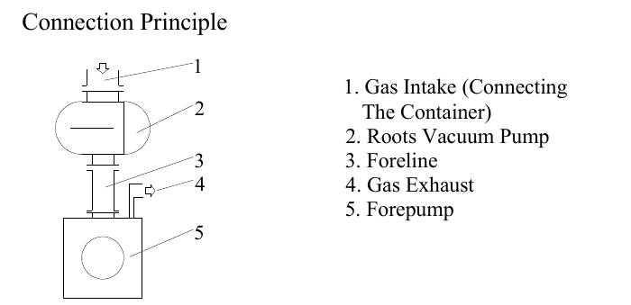 Vacuum container connected through a Roots pump and foreline to the backing pump